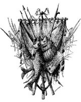 EAC093H.JPG