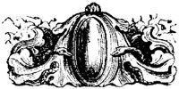 VSI030F.JPG