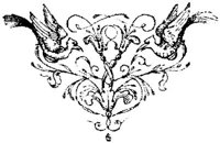VSI029C.JPG