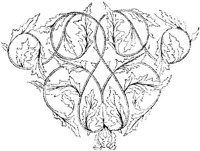 VSI027O.JPG