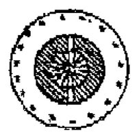 PMI180E.JPG