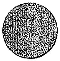 PMI156MM.JPG