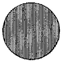 PMI156E1.JPG