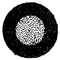 PMI156C.JPG