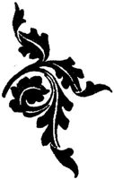 MOD006G.JPG