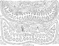 MDN011A.JPG