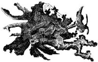 HPN033CA.JPG