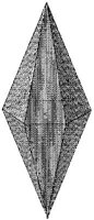 HPN032AJ.JPG