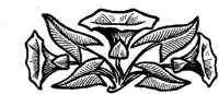 FMF099N.JPG