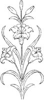 FLM104D.JPG