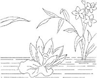 FLM019E.JPG