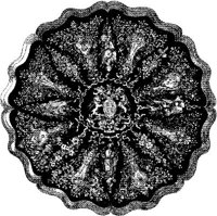 CTP324F.JPG