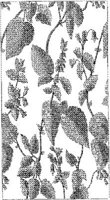 CTP315A.JPG