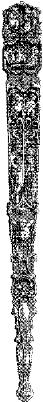 CTP313I.JPG