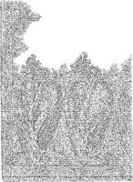 CTP308B.JPG