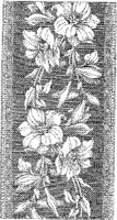 CTP274C.JPG