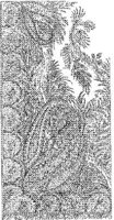 CTP254A.JPG