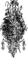 CTP240A.JPG