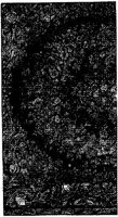 CTP216A.JPG