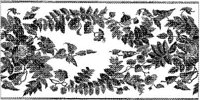 CTP191C.JPG