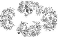 CTP165A.JPG