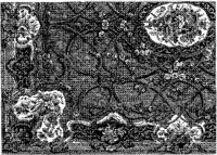 CTP089B.JPG