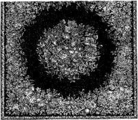CTP089A.JPG