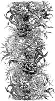 CTP065C.JPG
