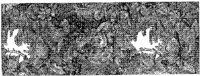 CTP060C.JPG