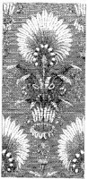CTP055B.JPG