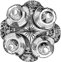 CTP036G.JPG