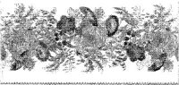 CTP013A.JPG