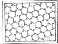 CLD307B.JPG