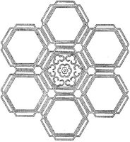 CLD079A.JPG