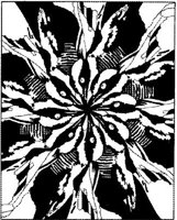 BFD043A.JPG