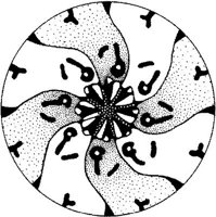BFD022A.JPG