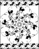 BFD021A.JPG