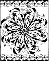 BFD019A.JPG