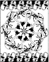 BFD015A.JPG