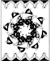 BFD010A.JPG