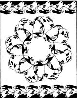 BFD007A.JPG