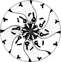 BFD000A.JPG