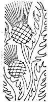 ASI068F.JPG