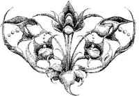 VSI085I.JPG