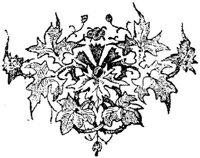 VSI083K.JPG