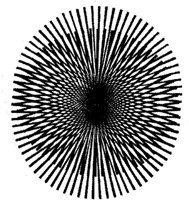 MST002F.JPG