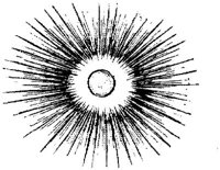 EAC185A.JPG