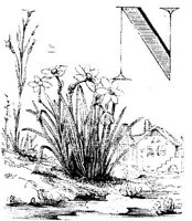 VSI009A.JPG