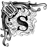 VSI007S.JPG