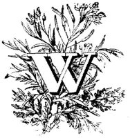 VSI006W.JPG